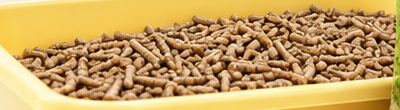 Litter tray berisi pellet kayu EasyLite setebal sekitar 5 cm