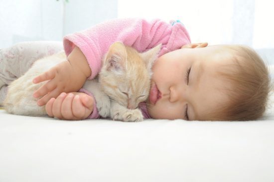 cats-and-babies-1-e1508241779711 kucing dan bayi hidup bersama