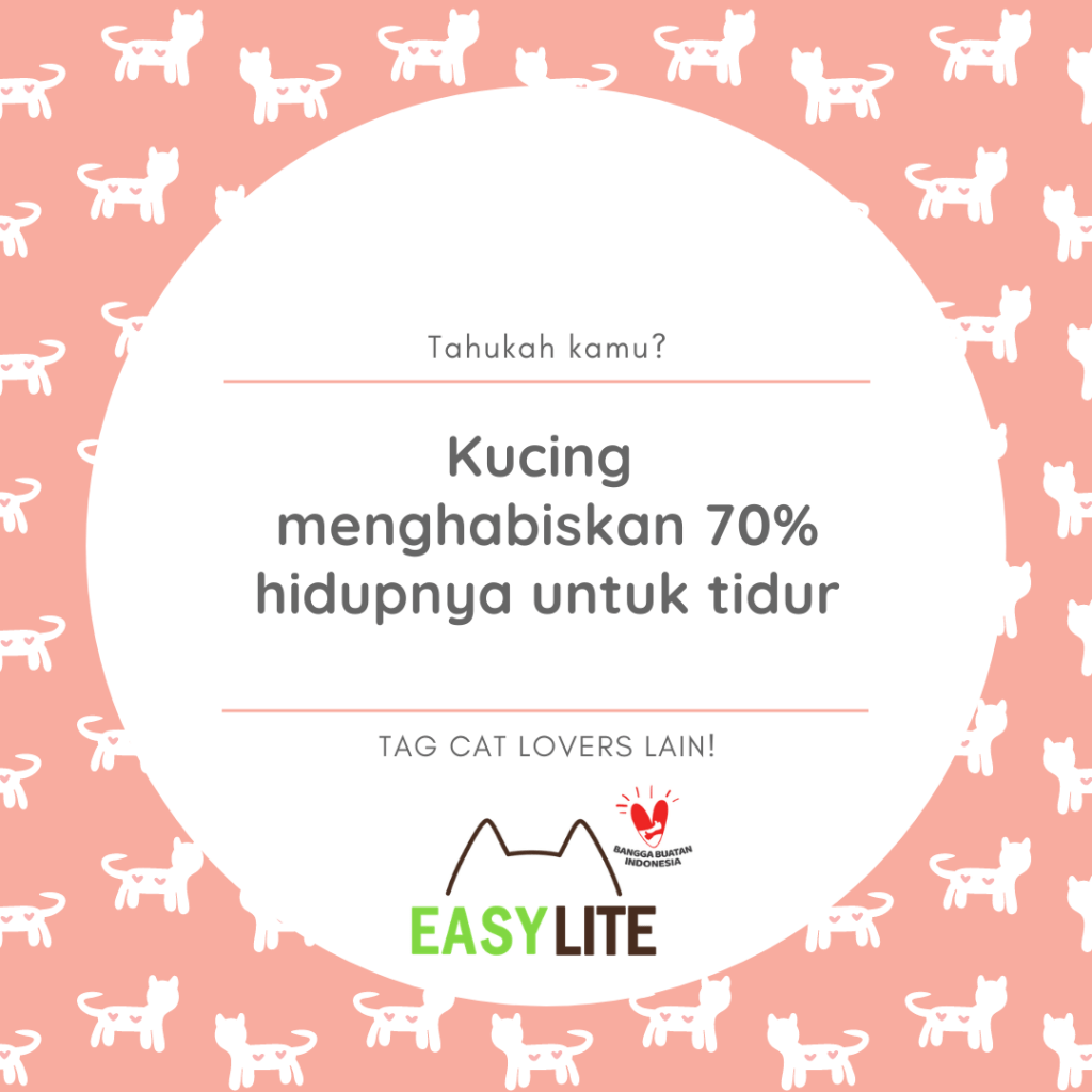 Easy Lite menghabiskan 70% hidupnya untuk tidur